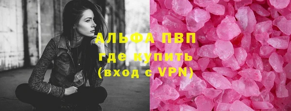 индика Арсеньев