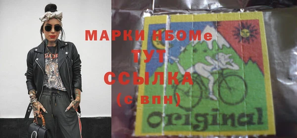 прущие грибы Алзамай