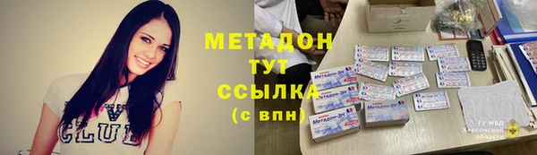 индика Арсеньев