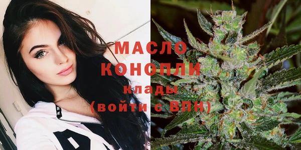 прущие грибы Алзамай
