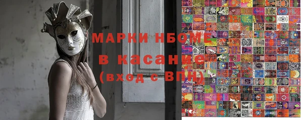 индика Арсеньев