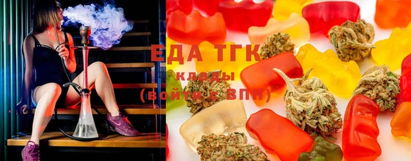 индика Арсеньев