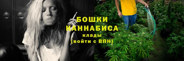 прущие грибы Алзамай