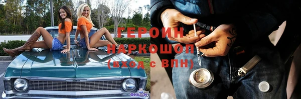 индика Арсеньев