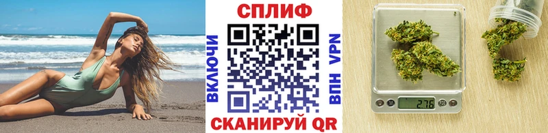 Конопля ГИДРОПОН  Кологрив 